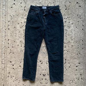 Agolde Riley Jeans | High Rise | Exclusive Wash